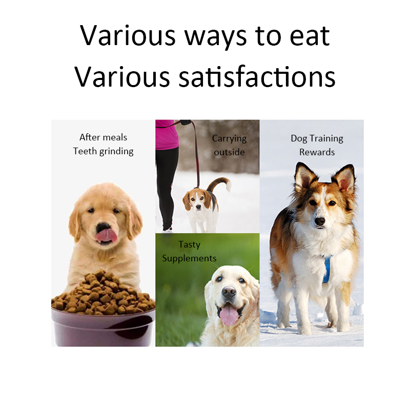 Dog Snacks Teething Stick 120g - đánh giá và giá Food Snacks Easy