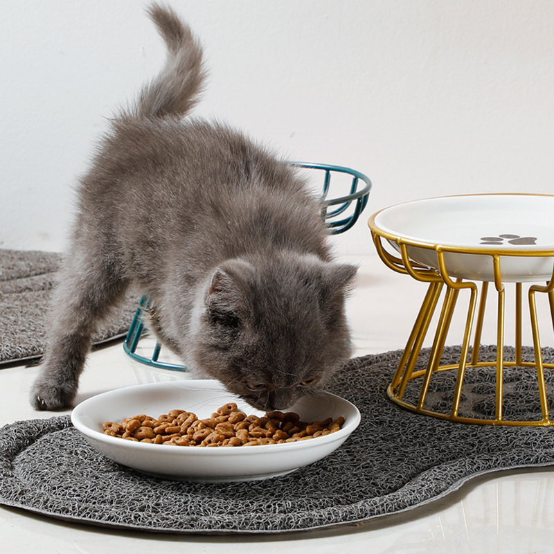 2024 New Pet Ceramic Bowl Iron - đánh giá và giá Food Snacks Easy