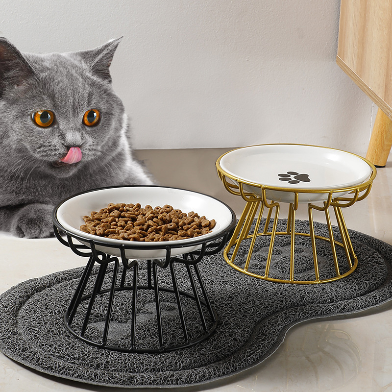 2024 New Pet Ceramic Bowl Iron - đánh giá và giá Food Snacks Easy
